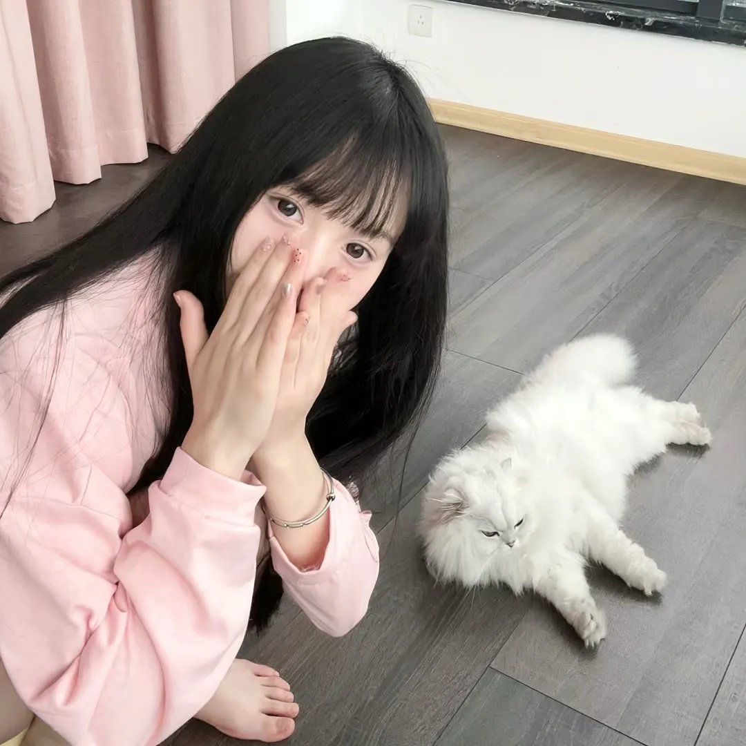 天水围的日与夜粤语